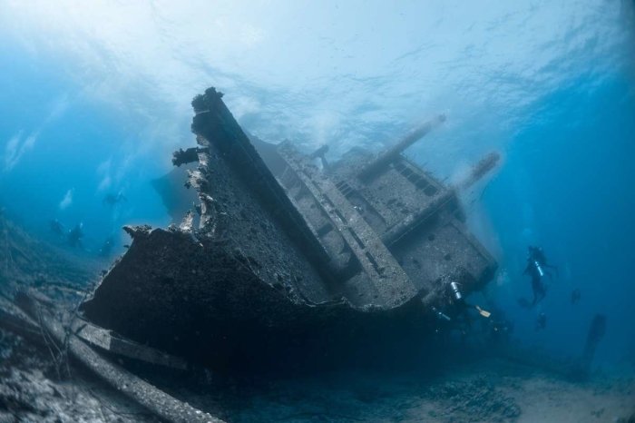 Diving scuba republic dominican island catalina oct staff comments